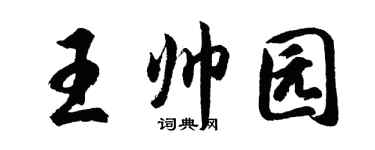 胡問遂王帥園行書個性簽名怎么寫