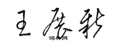 駱恆光王展新草書個性簽名怎么寫