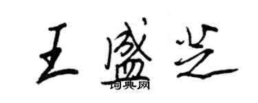 王正良王盛芝行書個性簽名怎么寫