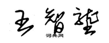 朱錫榮王智壟草書個性簽名怎么寫