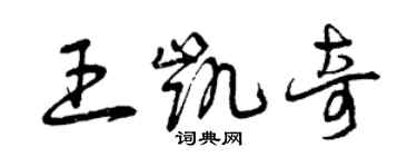 曾慶福王凱奇草書個性簽名怎么寫
