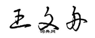 曾慶福王文舟草書個性簽名怎么寫