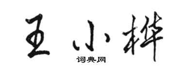 駱恆光王小樺行書個性簽名怎么寫