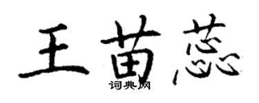 丁謙王苗蕊楷書個性簽名怎么寫