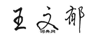 駱恆光王文郁行書個性簽名怎么寫