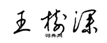 梁錦英王樹深草書個性簽名怎么寫