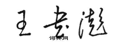 駱恆光王書澎草書個性簽名怎么寫