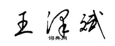 梁錦英王澤斌草書個性簽名怎么寫