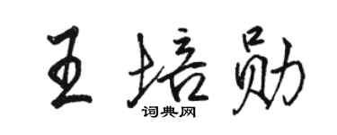 駱恆光王培勛行書個性簽名怎么寫