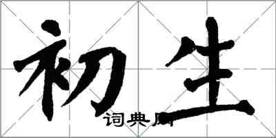 翁闓運初生楷書怎么寫