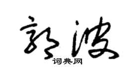 朱錫榮郭波草書個性簽名怎么寫