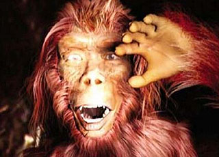 中國20位專家再次前往神農架科考野人