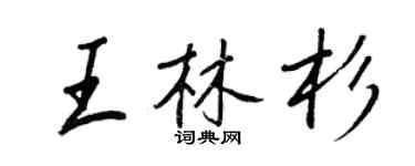 王正良王林杉行書個性簽名怎么寫