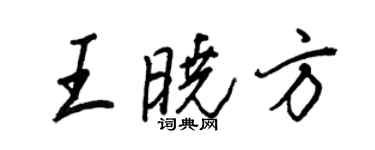 王正良王曉方行書個性簽名怎么寫