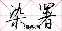 染溪的意思_染溪的解釋_國語詞典