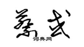 朱錫榮蔡或草書個性簽名怎么寫