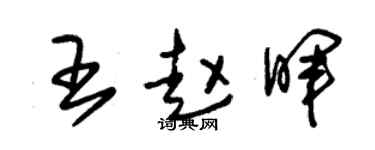 朱錫榮王趙暉草書個性簽名怎么寫