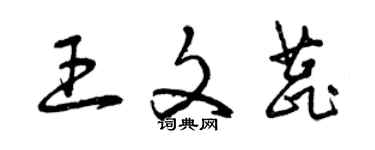 曾慶福王文蕊草書個性簽名怎么寫