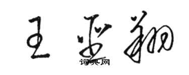 駱恆光王聖翔草書個性簽名怎么寫