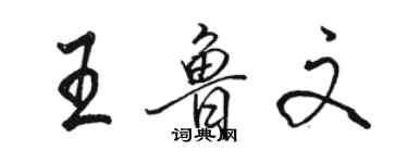 駱恆光王魯文行書個性簽名怎么寫