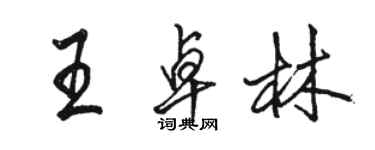 駱恆光王卓林行書個性簽名怎么寫