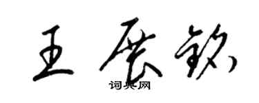 梁錦英王展銘草書個性簽名怎么寫