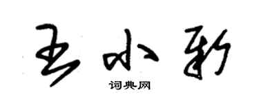 朱錫榮王小新草書個性簽名怎么寫