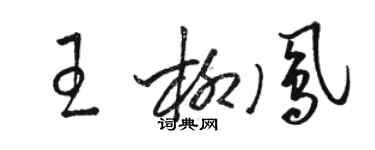 駱恆光王柳鳳草書個性簽名怎么寫