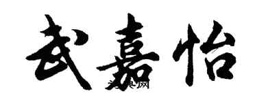 胡問遂武嘉怡行書個性簽名怎么寫