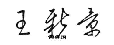 駱恆光王新景草書個性簽名怎么寫