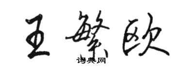 駱恆光王繁歐行書個性簽名怎么寫