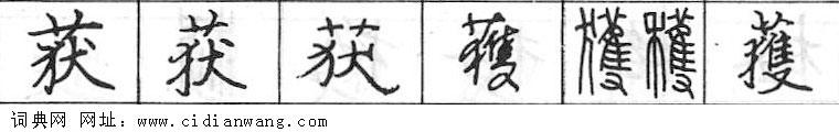 鋼筆字典
