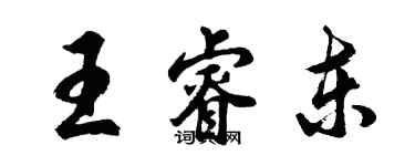 胡問遂王睿東行書個性簽名怎么寫