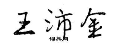 曾慶福王沛金行書個性簽名怎么寫