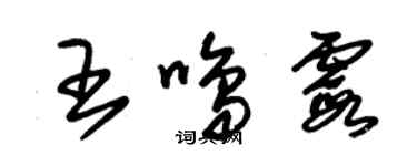 朱錫榮王鳴霞草書個性簽名怎么寫