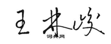 駱恆光王林峻草書個性簽名怎么寫