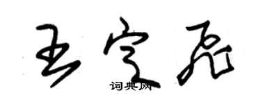 朱錫榮王定飛草書個性簽名怎么寫