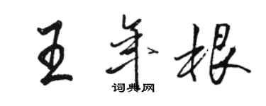 駱恆光王年根行書個性簽名怎么寫