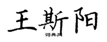 丁謙王斯陽楷書個性簽名怎么寫