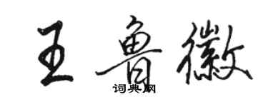 駱恆光王魯徽行書個性簽名怎么寫