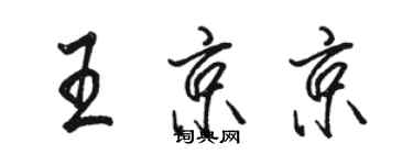 駱恆光王京京行書個性簽名怎么寫