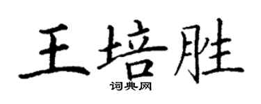 丁謙王培勝楷書個性簽名怎么寫