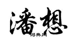 胡問遂潘想行書個性簽名怎么寫