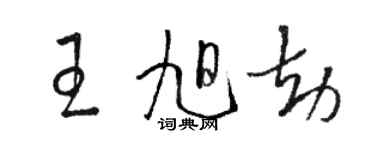 駱恆光王旭劫草書個性簽名怎么寫