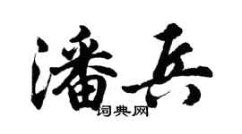 胡問遂潘兵行書個性簽名怎么寫