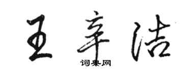 駱恆光王辛潔行書個性簽名怎么寫