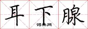 荊霄鵬耳下腺楷書怎么寫