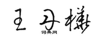 駱恆光王丹樺草書個性簽名怎么寫