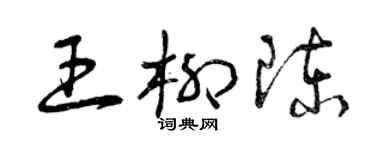 曾慶福王柳陳草書個性簽名怎么寫