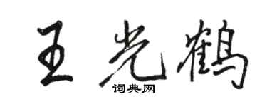 駱恆光王光鶴行書個性簽名怎么寫